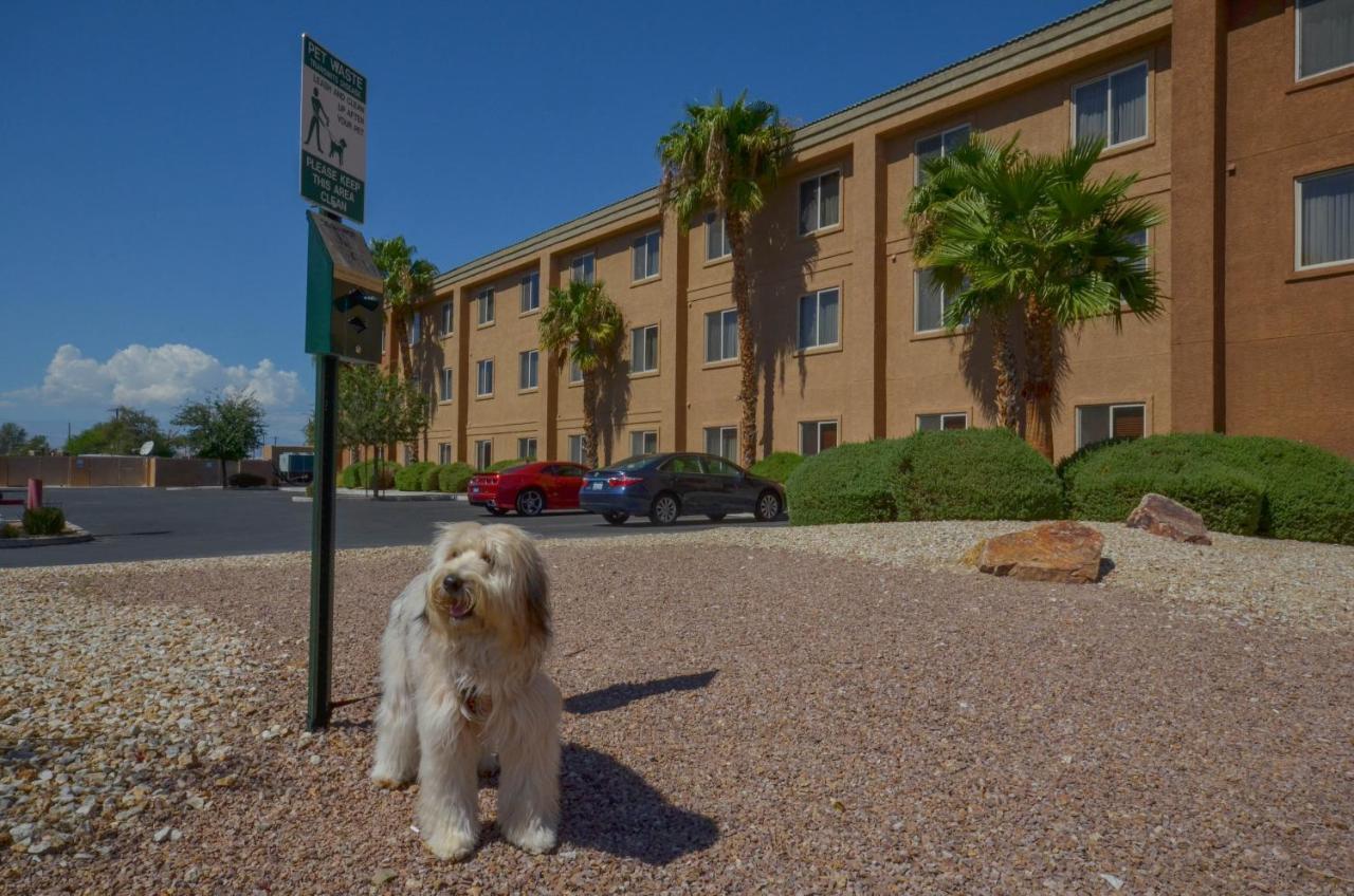 Holiday Inn Express Las Vegas-Nellis By Ihg Екстер'єр фото